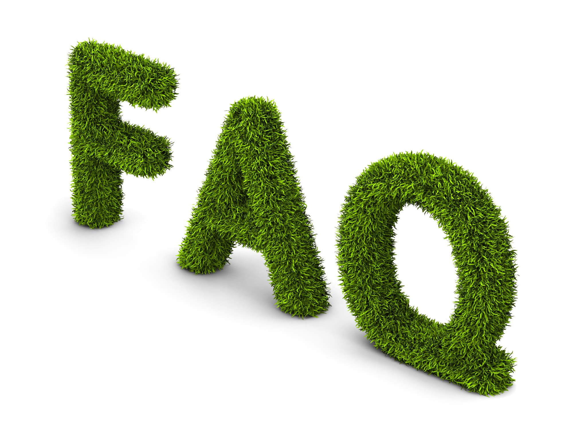 Frequently Asked Question covered grass.